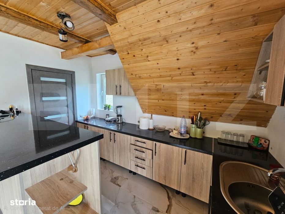 Cabana autentica cu 4565 mp teren, Liniste si Confort, Avram Iancu