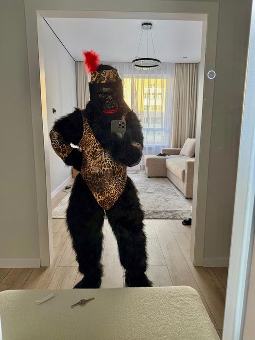 Аниматор, прокат костюмы Горилла Хлоя. Поздравление. День рождение