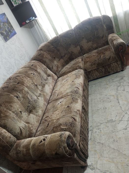 Отдам срочно в дар