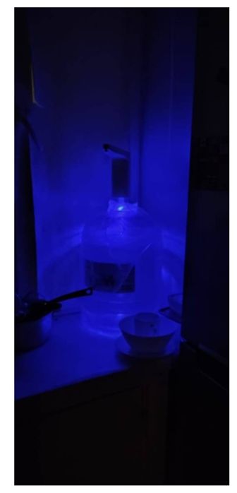 Помпа для воды электрическая