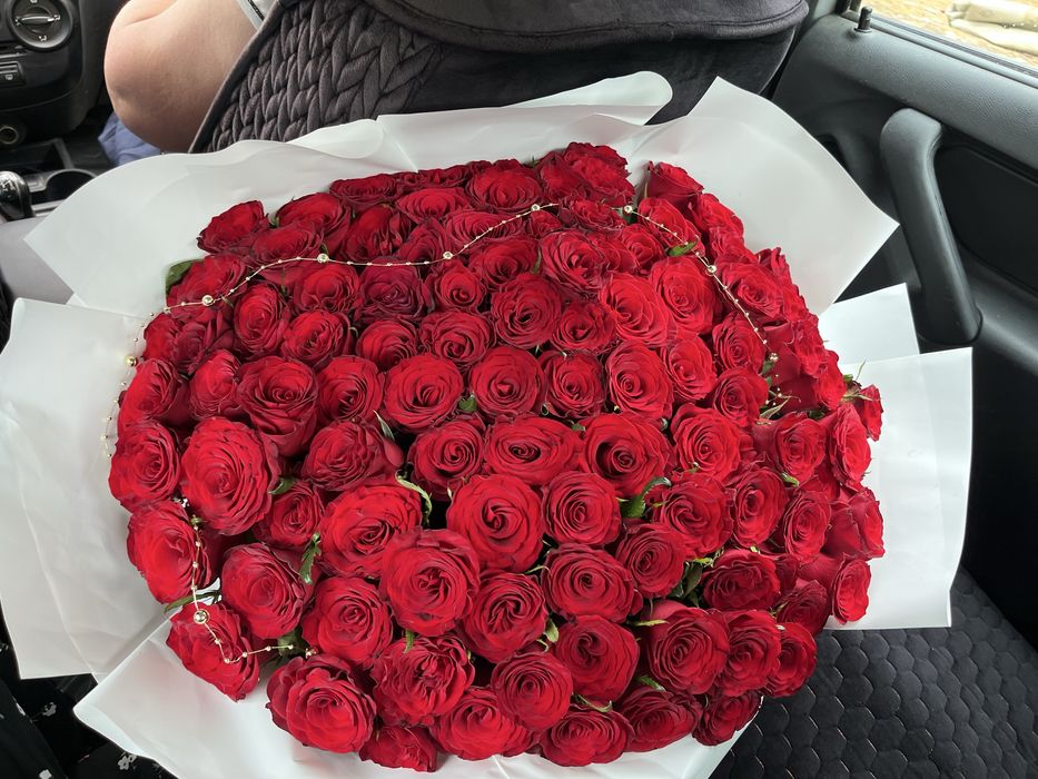 Свежие красивые розы