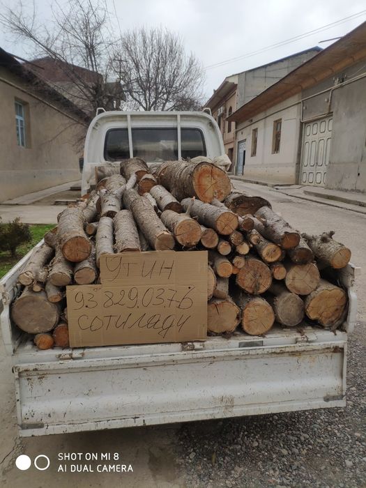 Утин сотилади Лабода, доставка