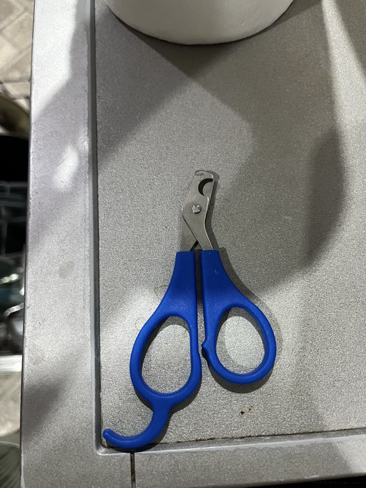 Продам когтерезку для животных