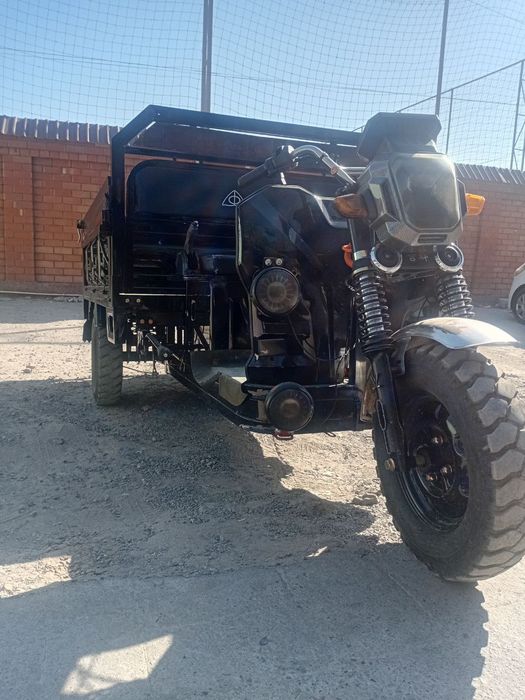 Электронной муравей 1000$