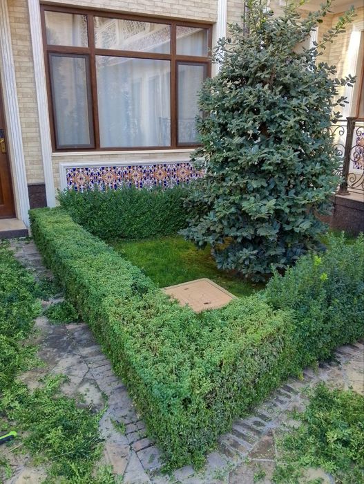 Archa gul kesish gazon ekish tayor gazon bosish archa gul ekish xat xi