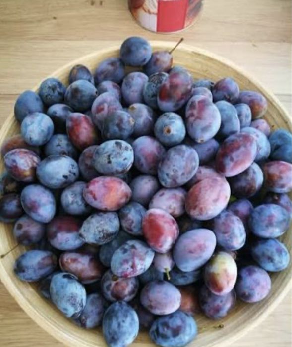 Prune pentru tuica