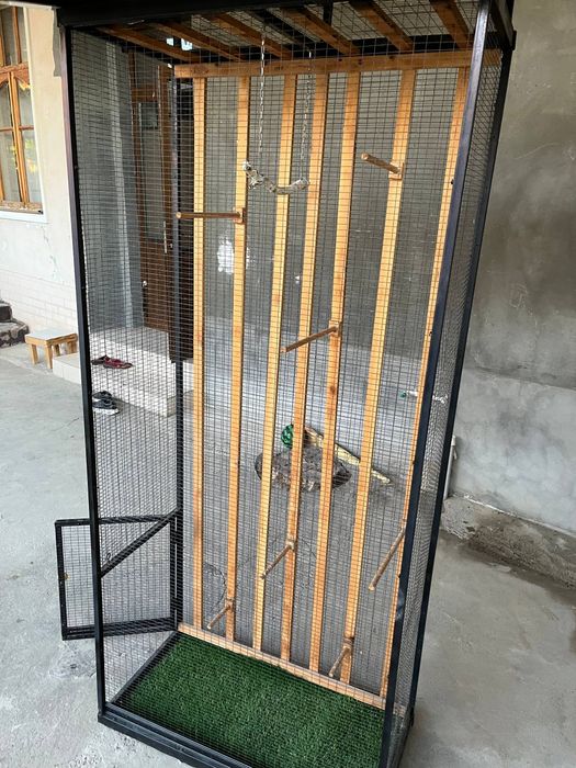 Кафас сотилади холати йенги