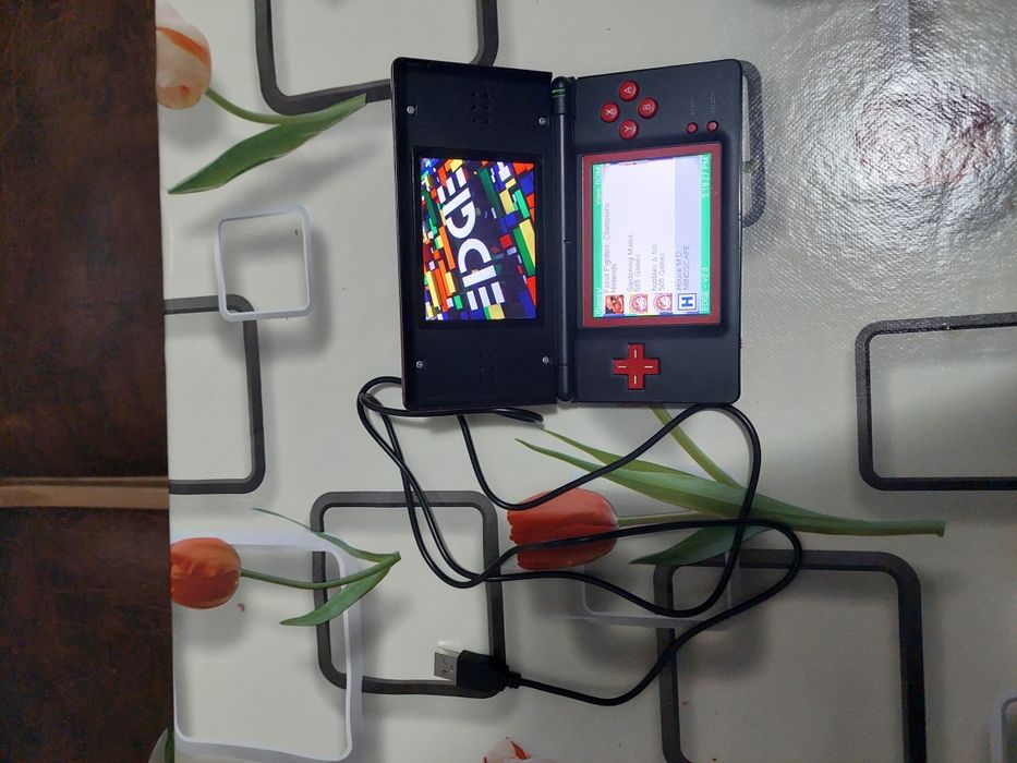 Nintendo ds modat full