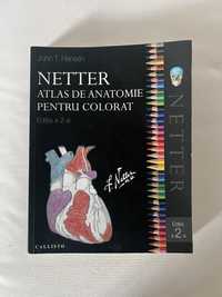 Netter Atlas de anatomie pentru colorat