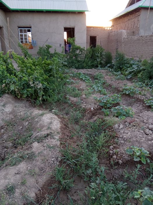 Uy sotiladi Qashqadaryo viloyati kasbi tumani