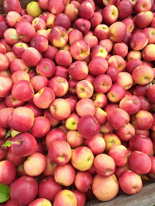 Vând mere Romanesti