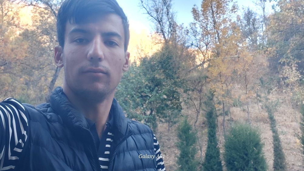 Gazon ekish xizmati  bog'bon xizmati