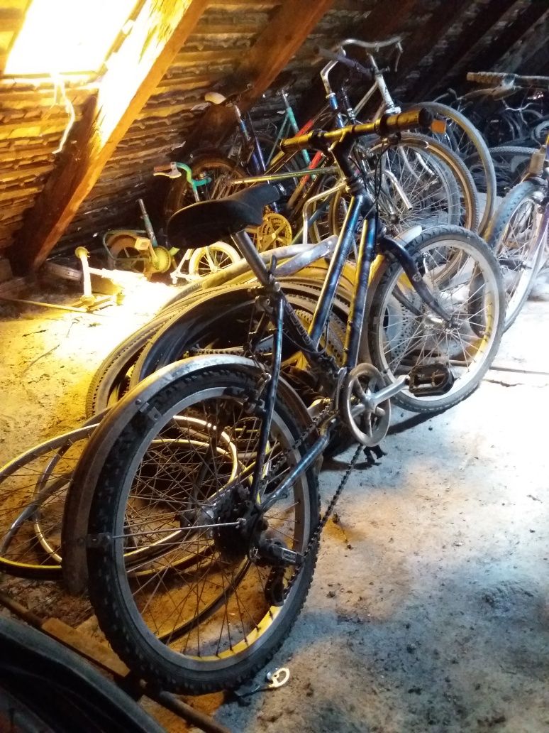 Alpina Bicicleta de copii elvetiana ci roti pe 20"