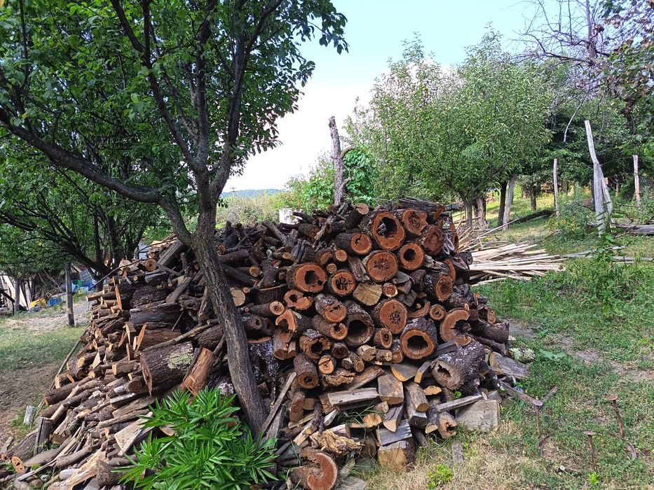 Lemn uscat de foc stejar, prun