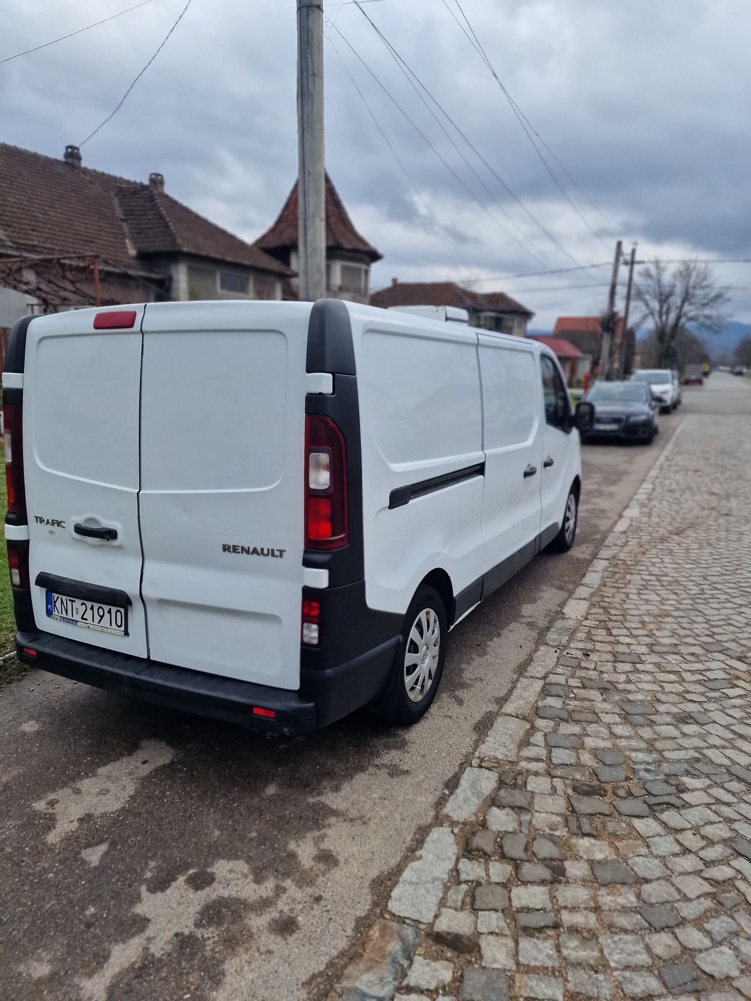 Renault Trafic Frigorific