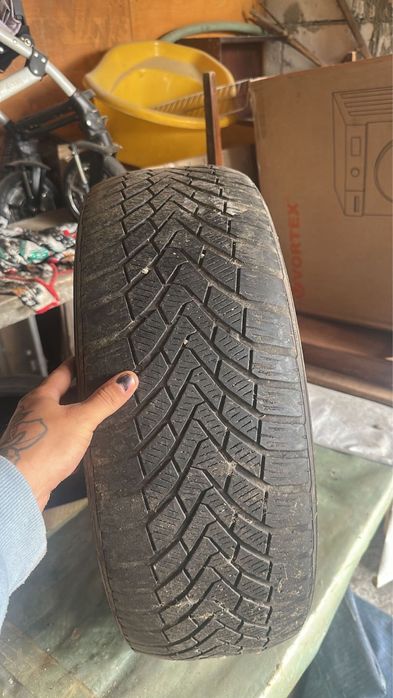 cauciucuri continental