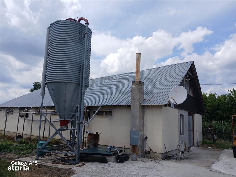 RECO Microferma avicola la doar 14 km de Oradea