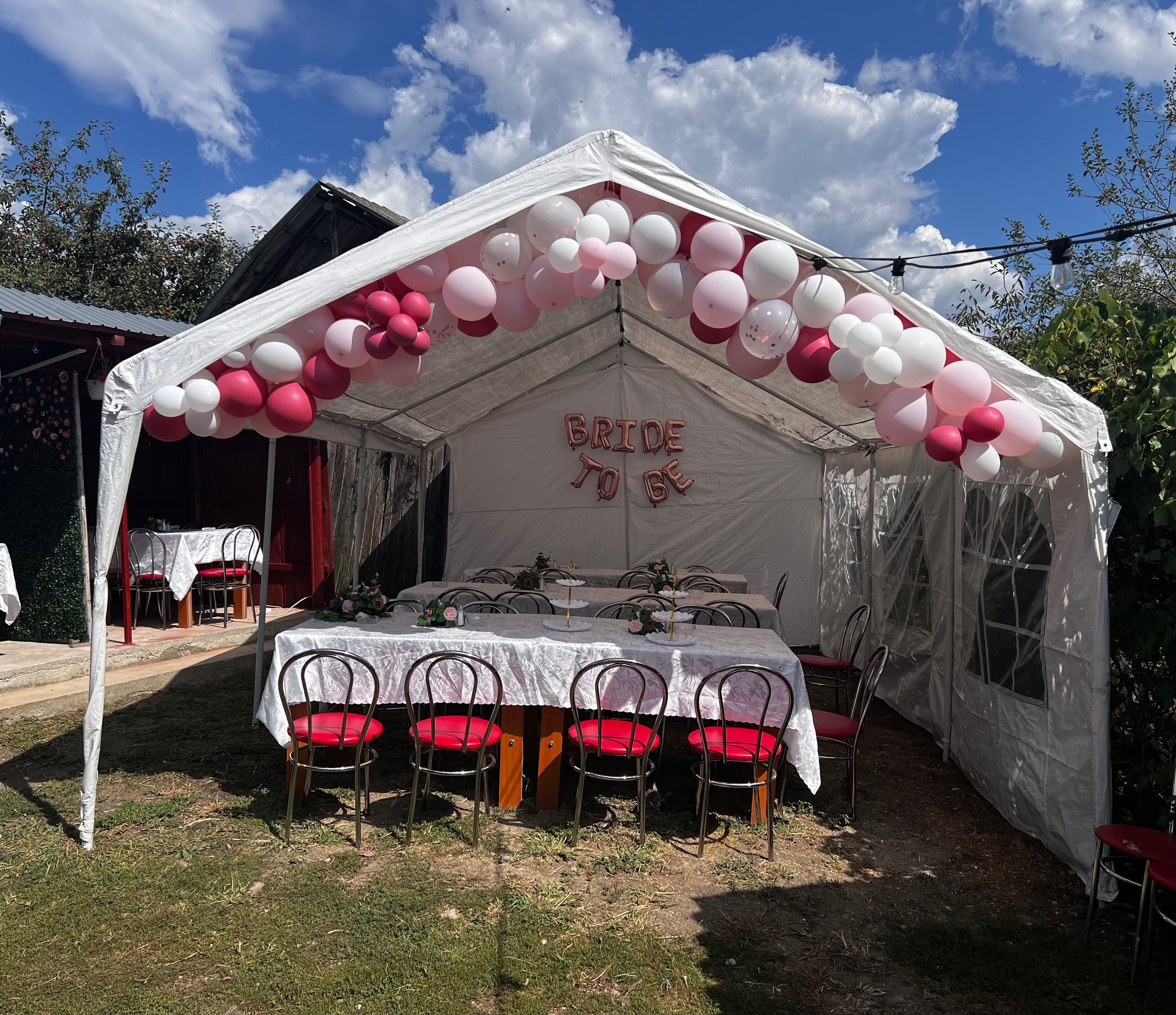 Inchiriez cort evenimente 6x4, Vitrina frigorifica, Masuta gatit mirea