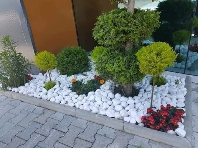 Vând plante ornamentale oriunde în țară execut grătare cascade