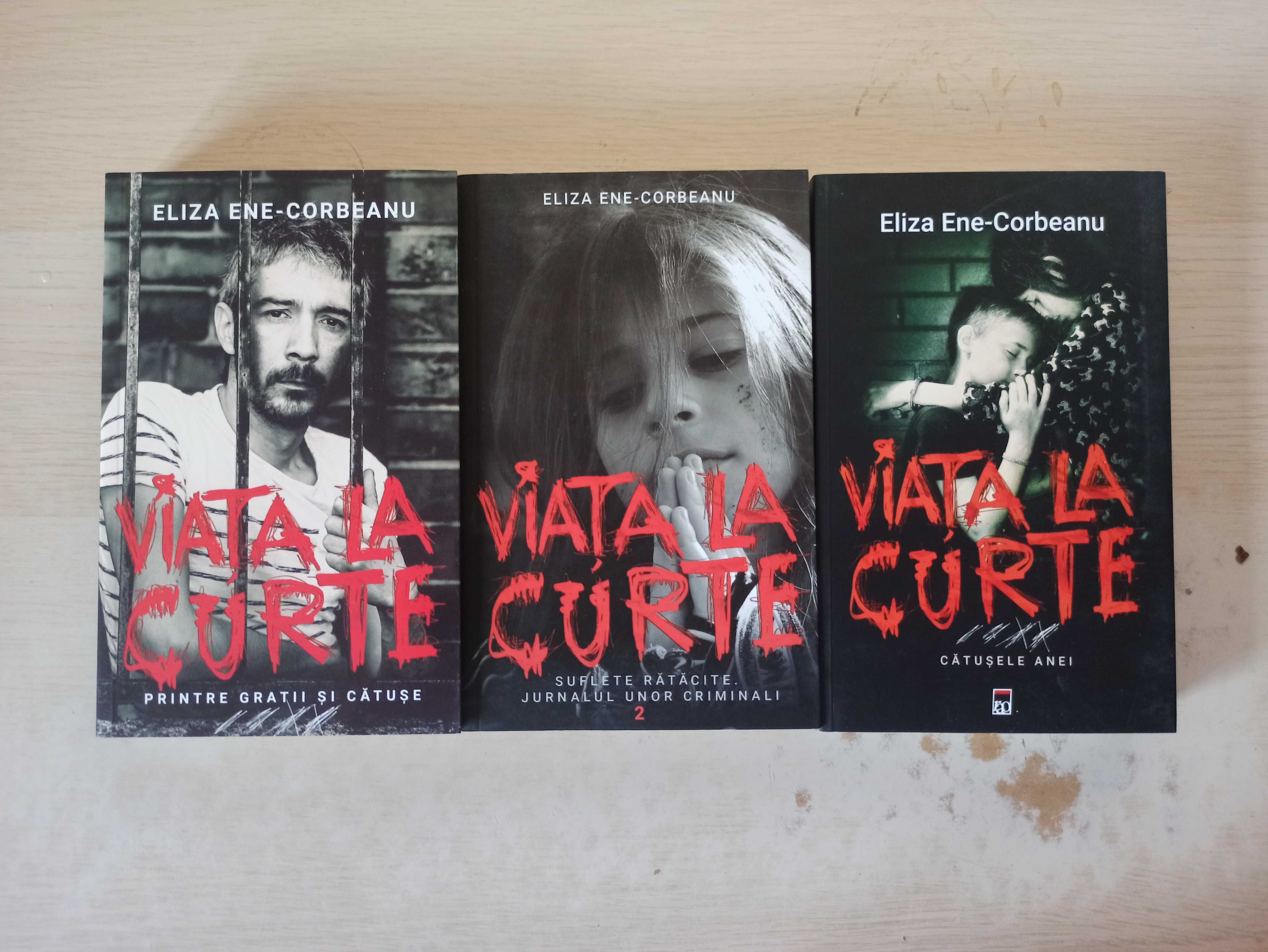 Carti de istorie, literatura moderna