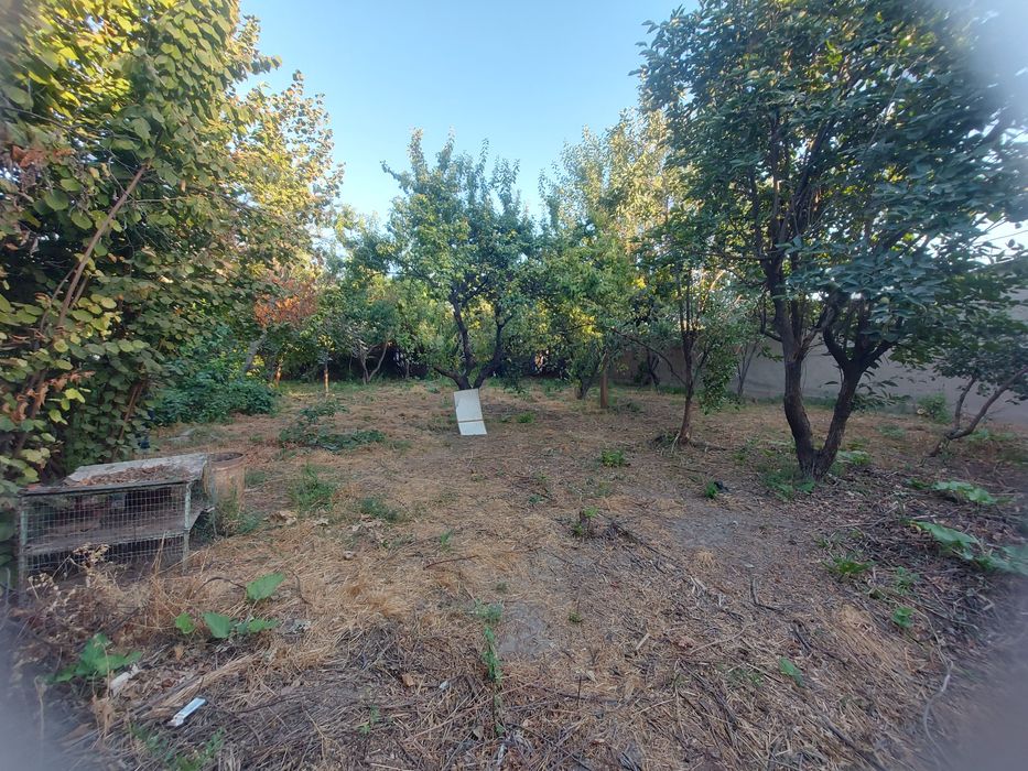 Yer sotiladi 7 sotix !