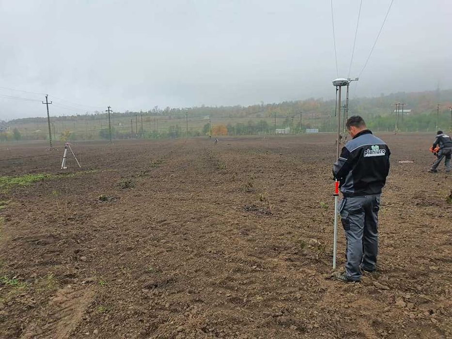 Infiintare plantatie mecanizat, plantatie  gps , infiintare livada