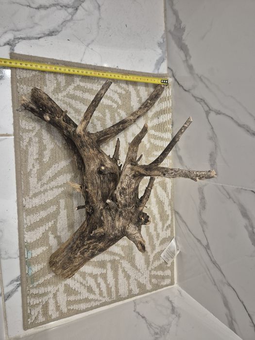 Lemn natural acvariu