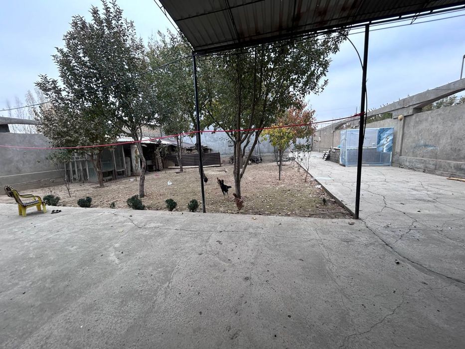 Kirov olmazor koʻchadan kiriladi a a