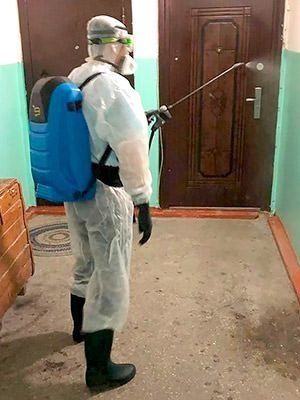 Дезинфекция дизенфекция дезинфекция | Гарантия 1 год