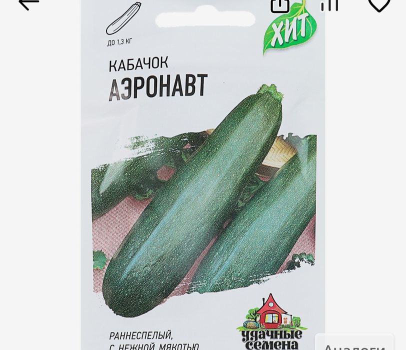 Продам семена кабачков