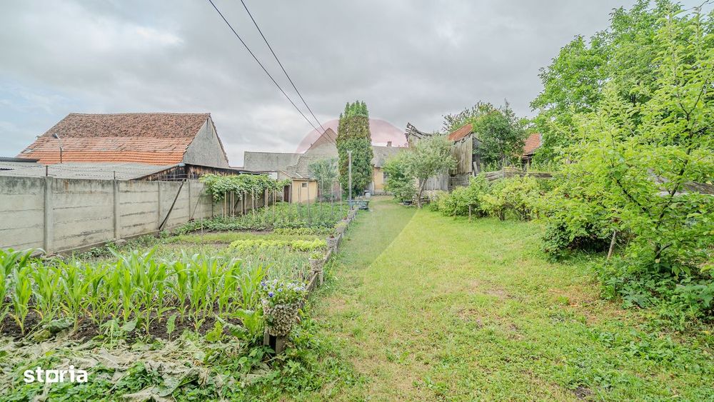 Comision 0 | Casă cu 3 camere, teren 1541 mp, livadă, beci și garaj