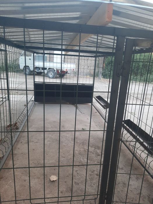 Tovuq kataklar mustahkam