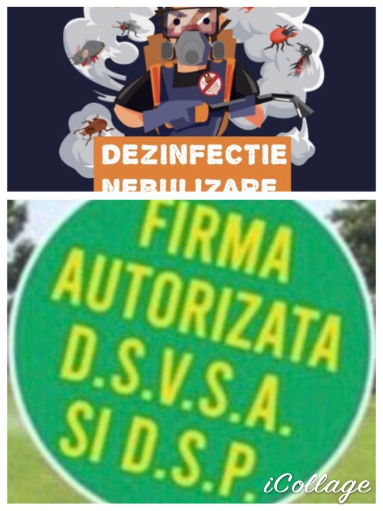 DDD TRANSILVANIA Deratizare,dezinfectie,dezinsectie