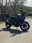 Yamaha mt-09 editie street relly full carbon