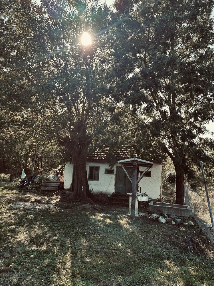 Teren de vanzare intravilan