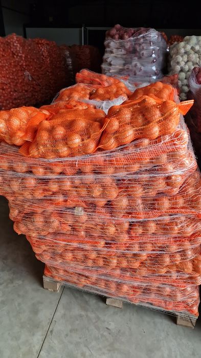 Ceapa Cartofi pere mere morcov import