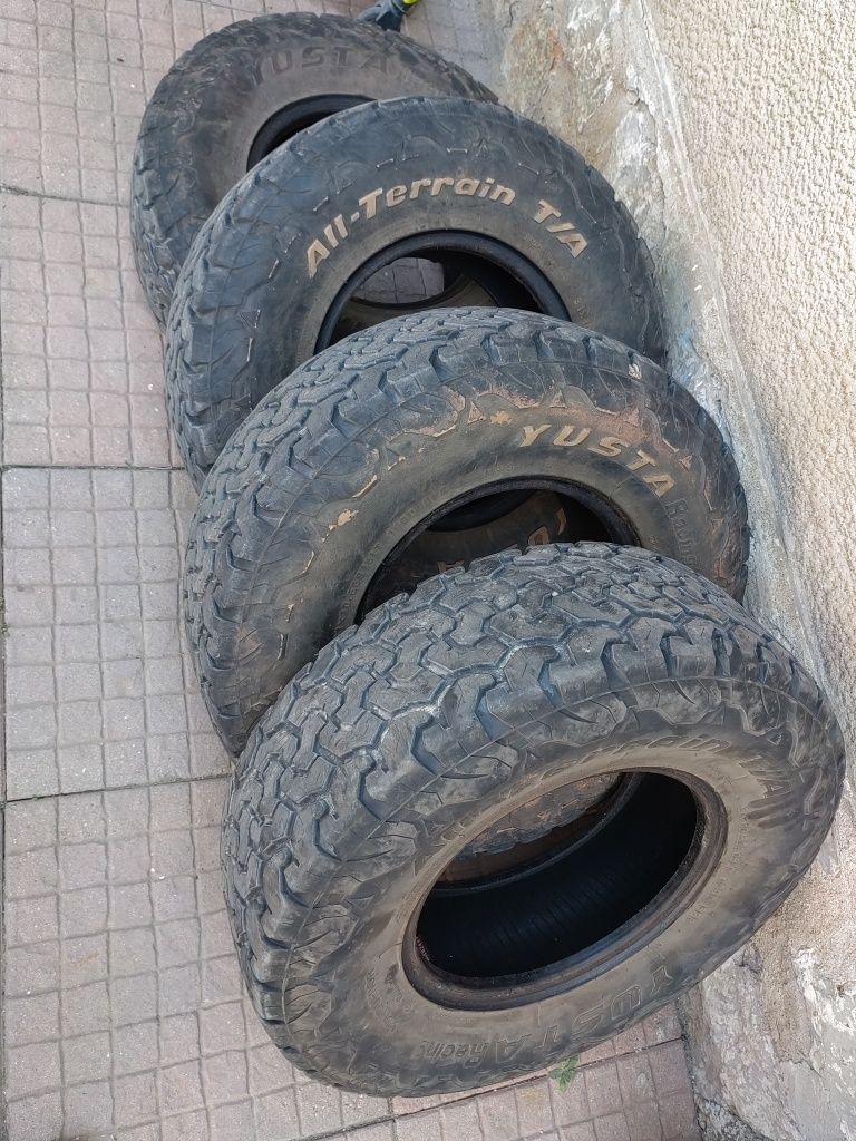 31×10,5/15 180лв