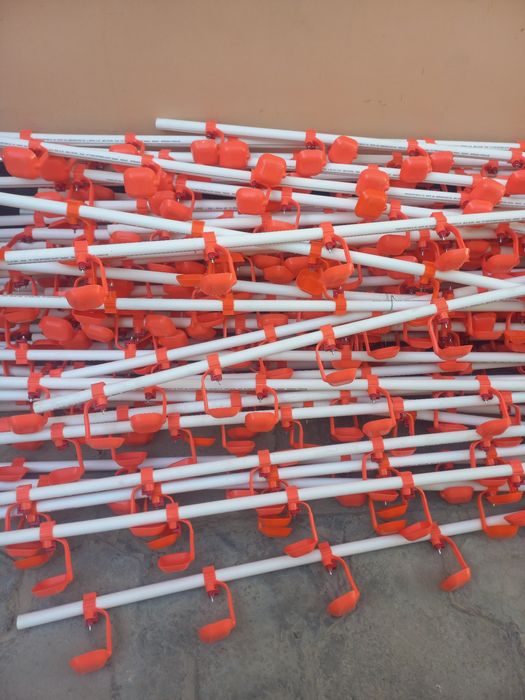 Непил пайилка сотилади