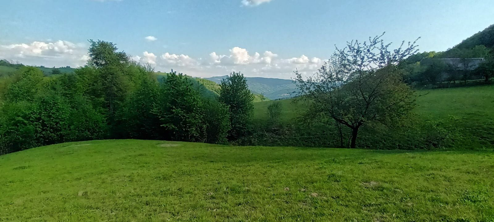 Teren de vânzare în Apuseni