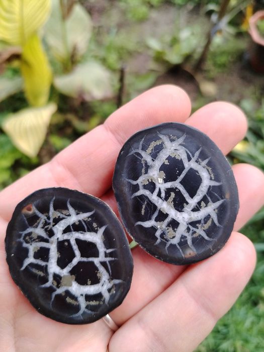 Двойка септарии от Мароко, много изгодно