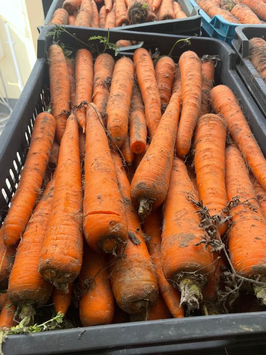 Sarmasag gări 111 FRUCTE ȘI LEGUME EN-GROS