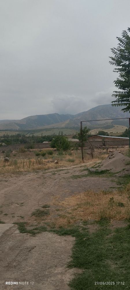 Dacha oqtosh Faqat Oilaga