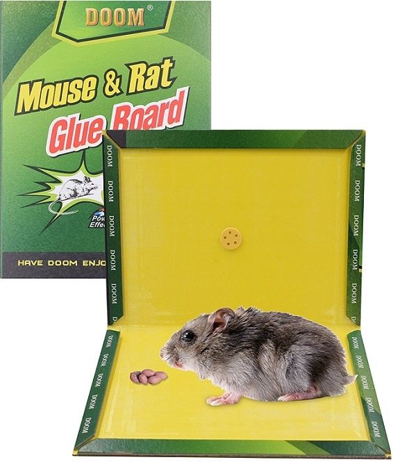 Мышеловка липкая