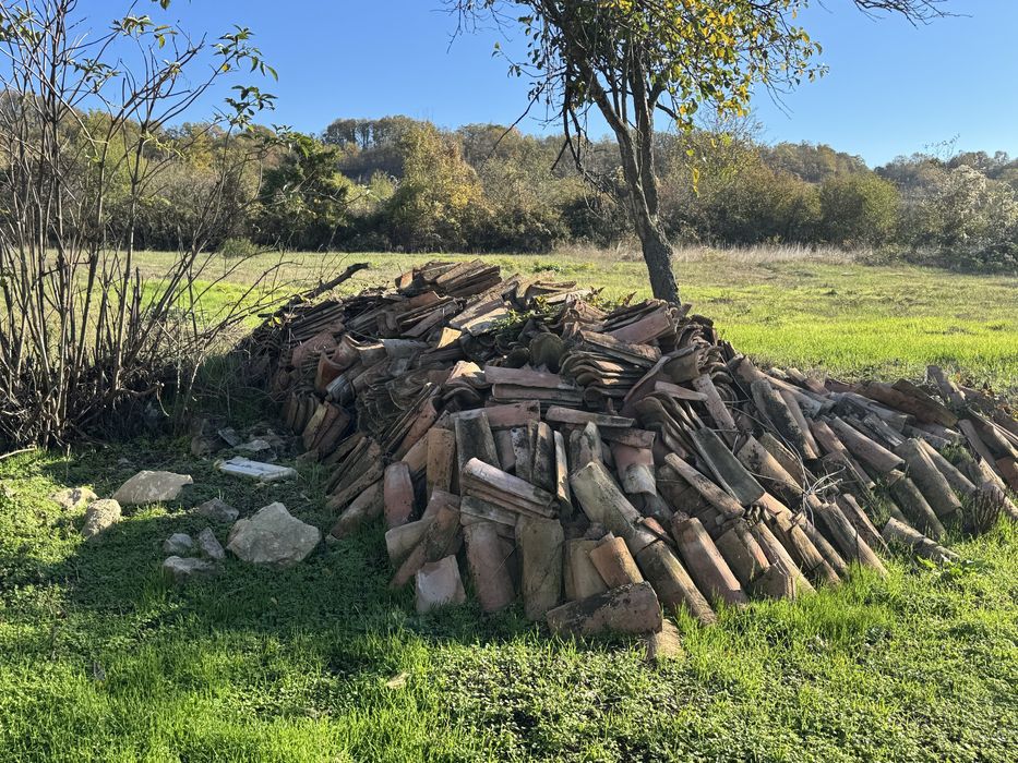 Керемиди тип зигански