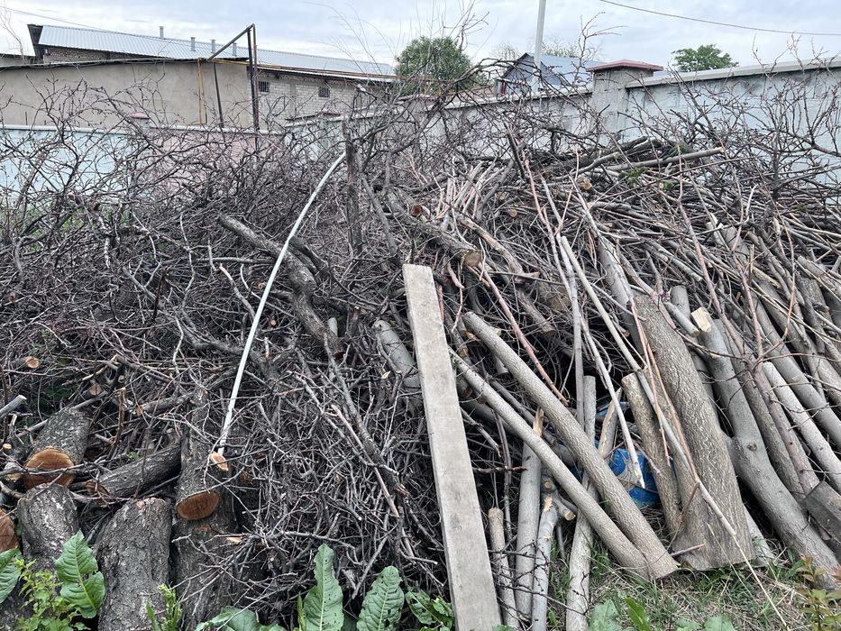 Дрова бесплатно тегин отын