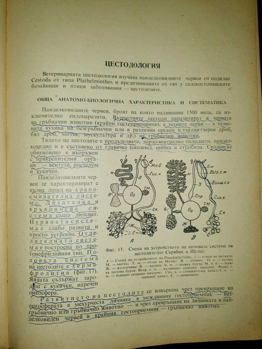Ветеринарна паразитология Матов, Земиздат