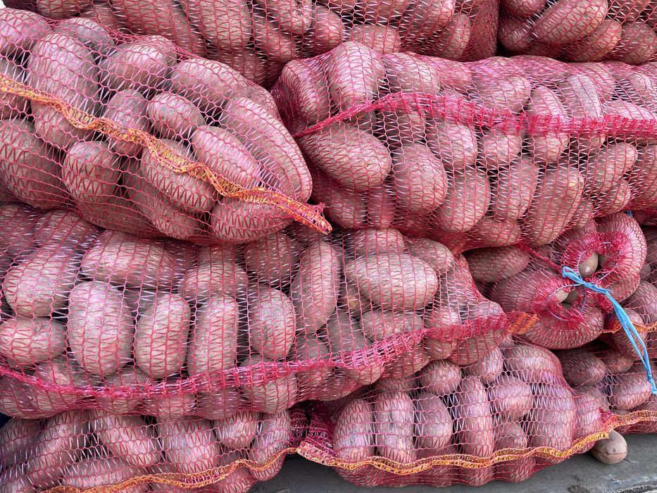 Ceapa , Cartof alb -rosu , morcovi , varza