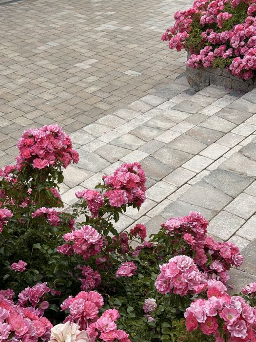 Pavaj Premium + Mobilier Gradină – Design Elegant și Durabil