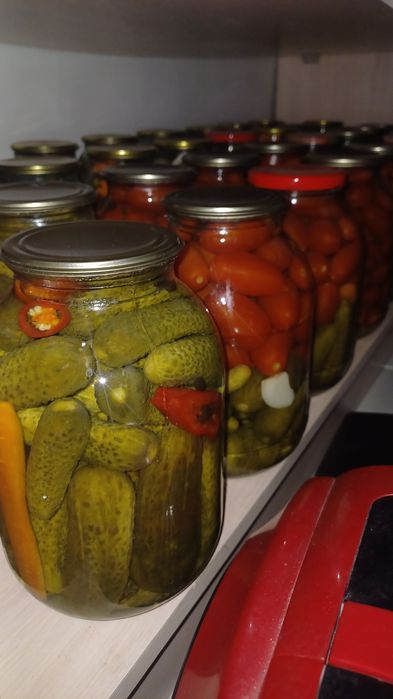 Маринованные огурцы и помидоры дачные