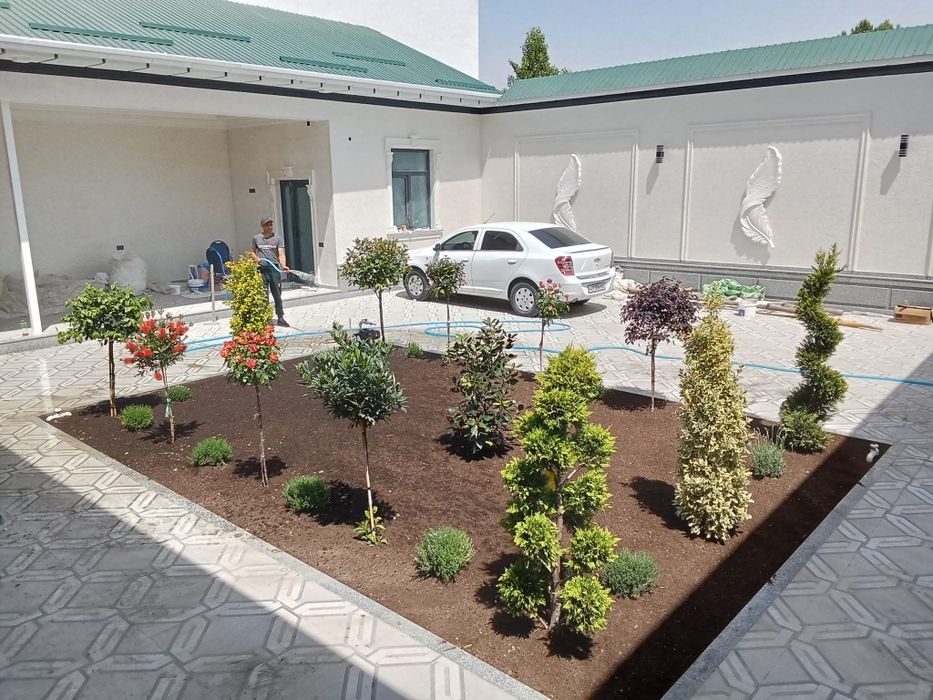 Gazon lanshaft dezayn